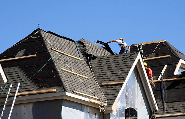Best Storm Damage Roof Repair  in Schleswig, IA